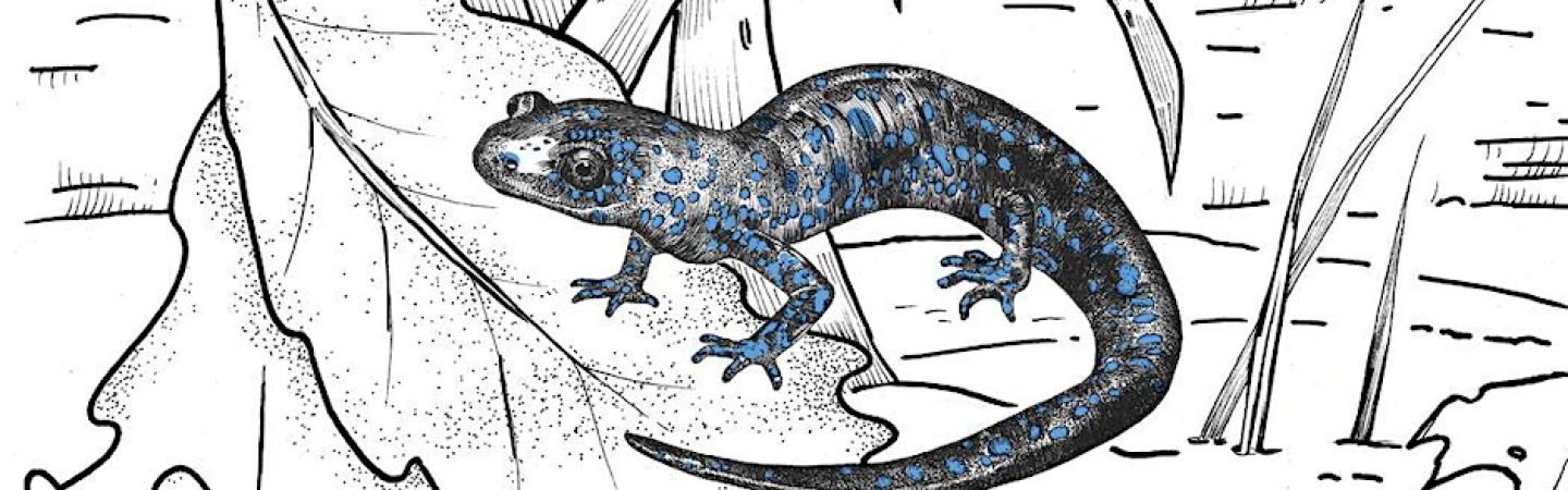 Chicago River Day at Skokie Lagoons | nsbar.org